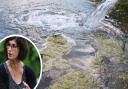 Layla Moran has criticised Thames Water's sewage pollution.