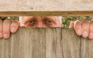 Find out if your neighbour can legally block your view.