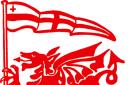 RUGBY UNION: London Welsh line up friendlies