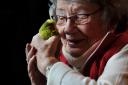 Hazel Plested, who lost her husband John three years ago, with Joey, her pet budgie