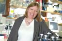 Championing research: Professor Linda King