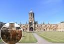 Hindu students at Oxford University served beef-laced candies on Diwali