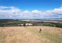 Need some walking inspiration? Look no further than these routes in Oxfordshire