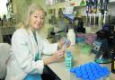 Professor Dame Kay Davies has been working on a potential treatment for muscular dystrophy
