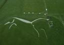 White Horse re-chalked in centuries-old tradition