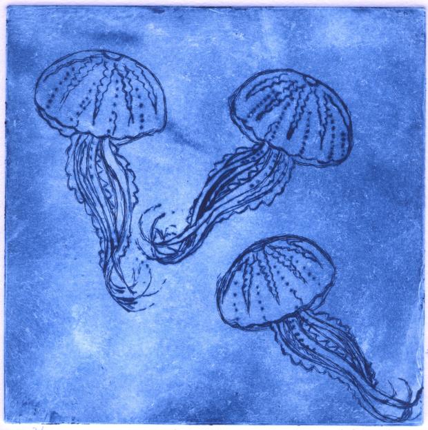 Oxford Mail: Species by the Oxford Printmakers' Workshop. Sharda Mistry's Jellyfish
