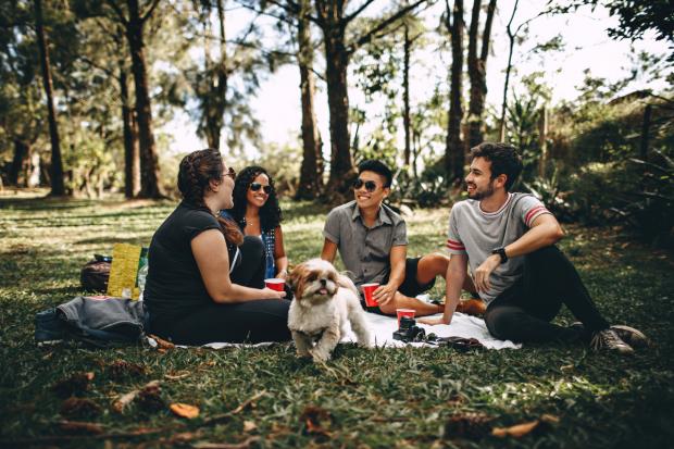 Oxford Mail: A group of people and a dog enjoy a picnic in the woods. Credit: Canva