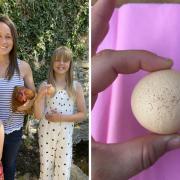 Twinskie the chicken, from Brize Norton, has laid a ‘one in a billion’ round egg