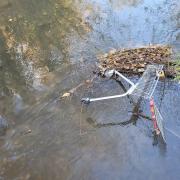 Twitter documents ‘trolley breeding programme’ after several are dumped in river