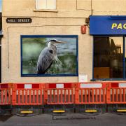 The latest image in a vacant billboard on Mill Street is thought to be by Oxford photographer Andrew Ogilvy