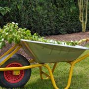 The extra waste must contain only natural garden waste, such as cut grass, plants or branches