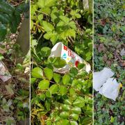 McLitter found within a 10 metre stretch of Station Road in Didcot