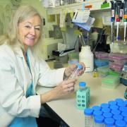 Professor Dame Kay Davies has been working on a potential treatment for muscular dystrophy