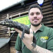 Shaun Foggett at Crocodiles of the World