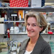 Helen McShane, professor of vaccinology, Jenner Institute