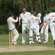 EARLY WICKET: Abingdon Vale celebrate as Graham Charlesworth (wearing sunglasses) dismisses Peter King Picture: Steve Wheeler