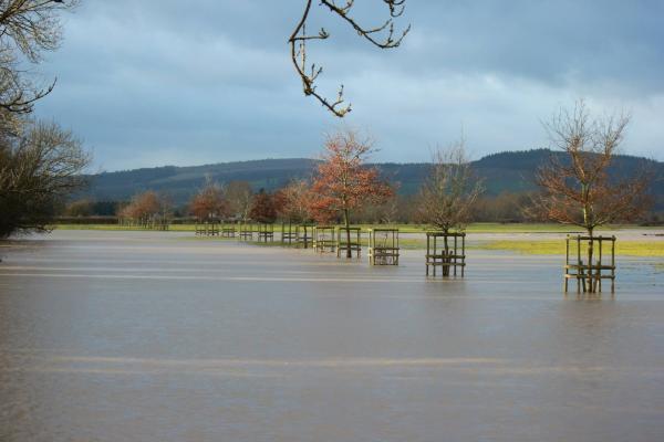 Flooding in Herefordshire (pic by Linzi Morris)