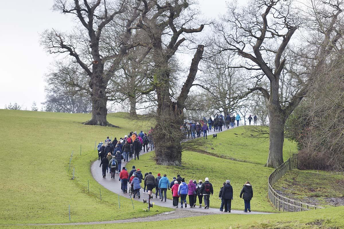 Blenheim Winter Walk in aid of Sobell House IN PICTURES