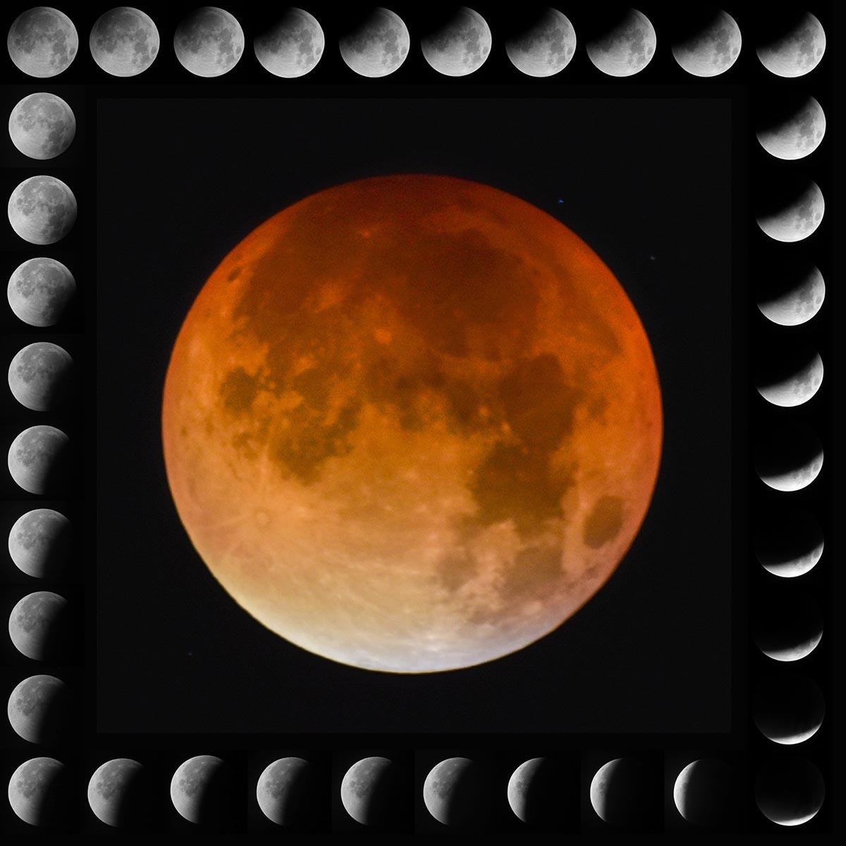 28/09/2015 
Location : Chilson Hill
Catchline : Super Moon Eclipse
Length: On spec
Photographer : Mark Hemsworth
Caption:

Super moon eclipse composite image of all phases

Copyright - Mark Hemsworth