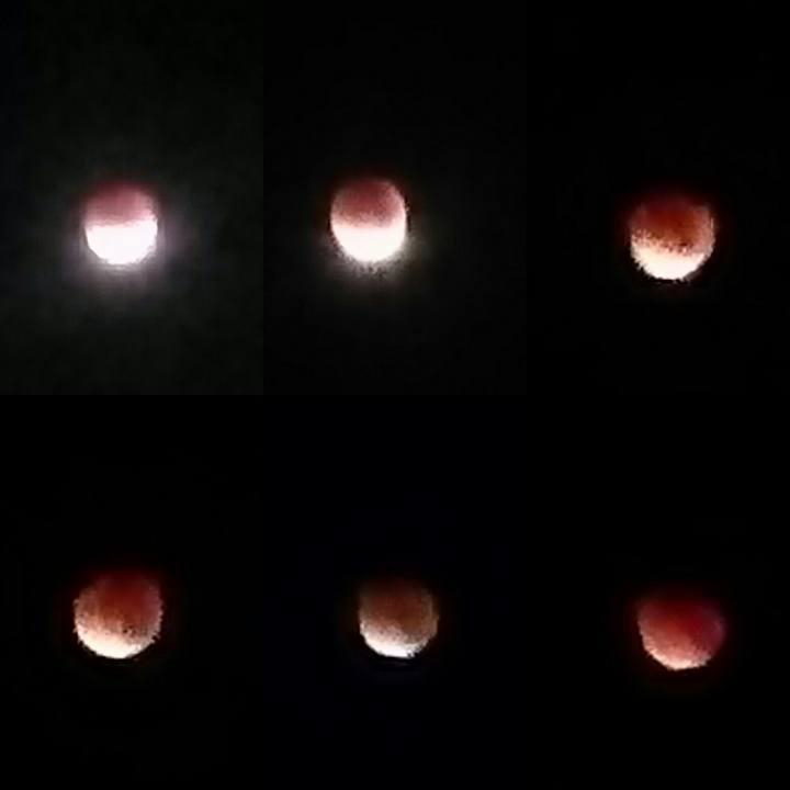 Blood Moon Lunar Eclipse Rian Ellen Duffy