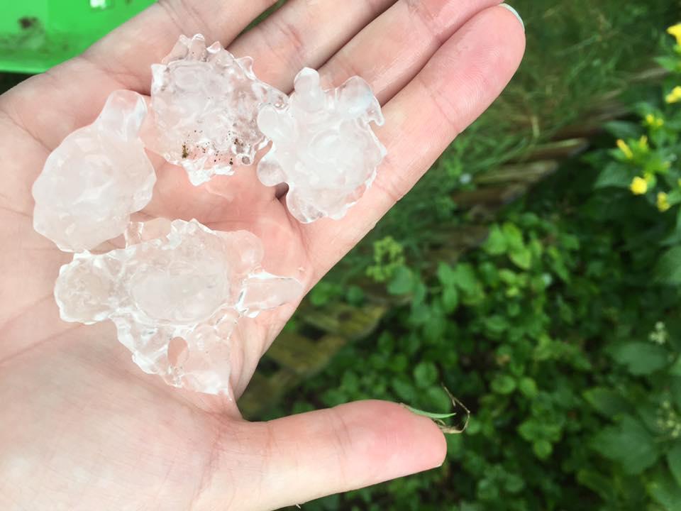 Malgorzata Gosia Nowakowska sent us this incredible shot of gnarled and nodular hailstones in Bicester