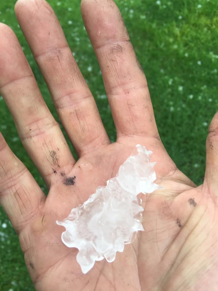 Lincoln Smith found a scary-looking hailstone in Shippon