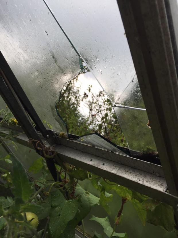 Derek Holmes was shocked to find that the hail had smashed his greenhouse in Bayworth