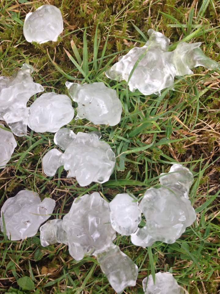 Hail on the ground. Picture from Rachael Milham.