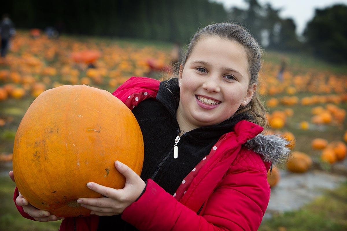 Eleanor Dance, 10, with one of the thousands of pumpkins at Millets Farm