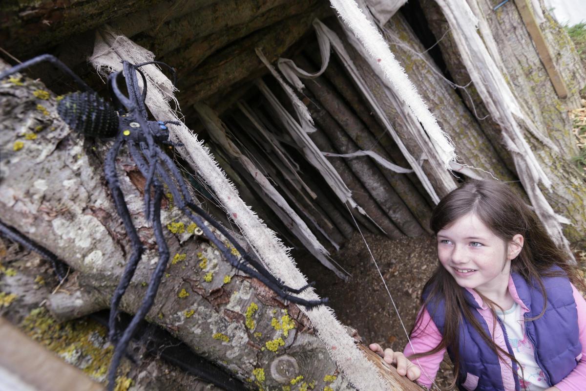 Seven-year-old Sophia Cole braves spiders web at Millets Farm's wizard school                                                                                                                                                                                  