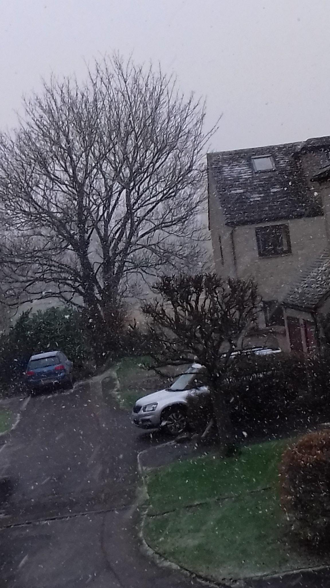 Snow in Witney - Pic. Gill Oliver