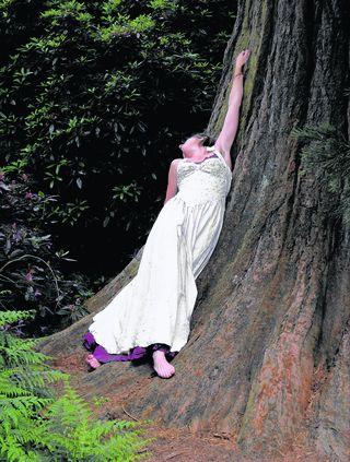 TREE HUGGER: but if you go down to the woods today...