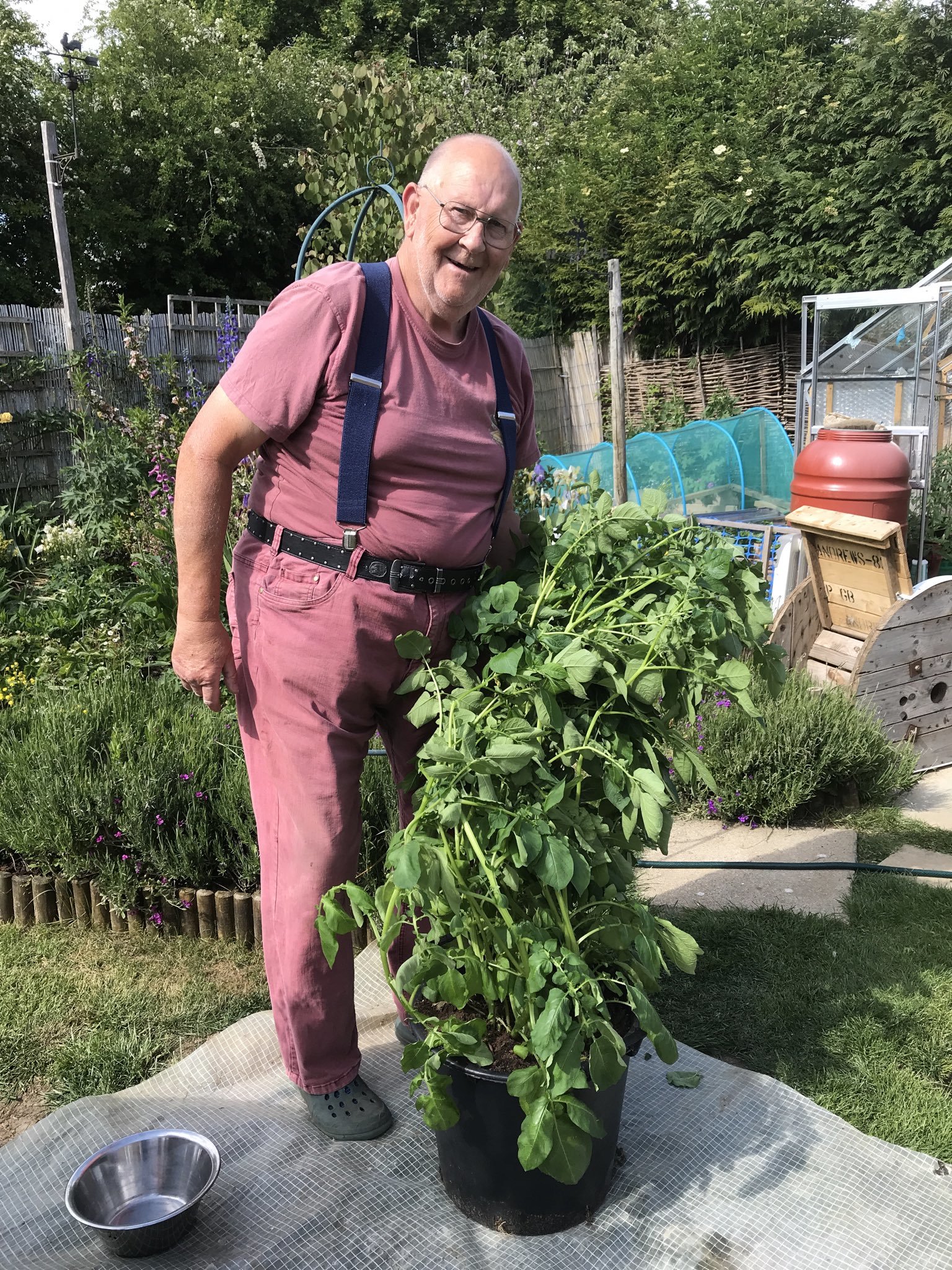 Gerald Stratford went viral on Twitter with pictures from his garden. Picture: Gerald Stratford Twitter