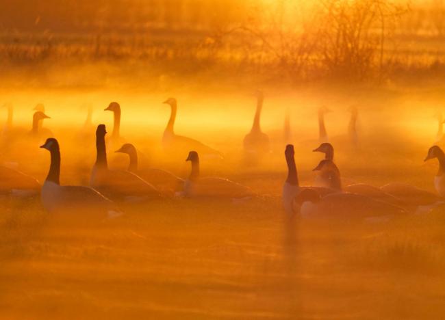 Magical light from a sunset in Lechlade. Picture: Greta Whareham