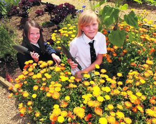 Pegasus Primary School pupils take part in Oxford in Bloom 