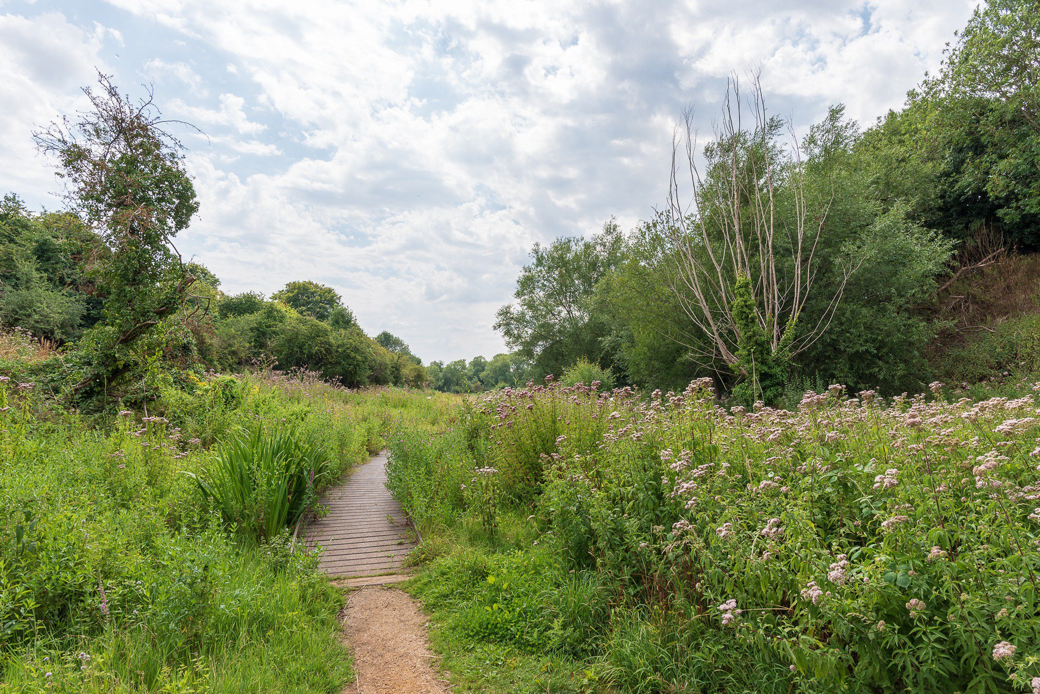 Tucked away in Headington, Lye Valley is a haven for wildlife and people Picture: Tony Gillie.