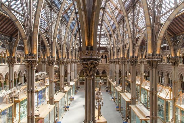 The Museum of Natural History in Oxford 