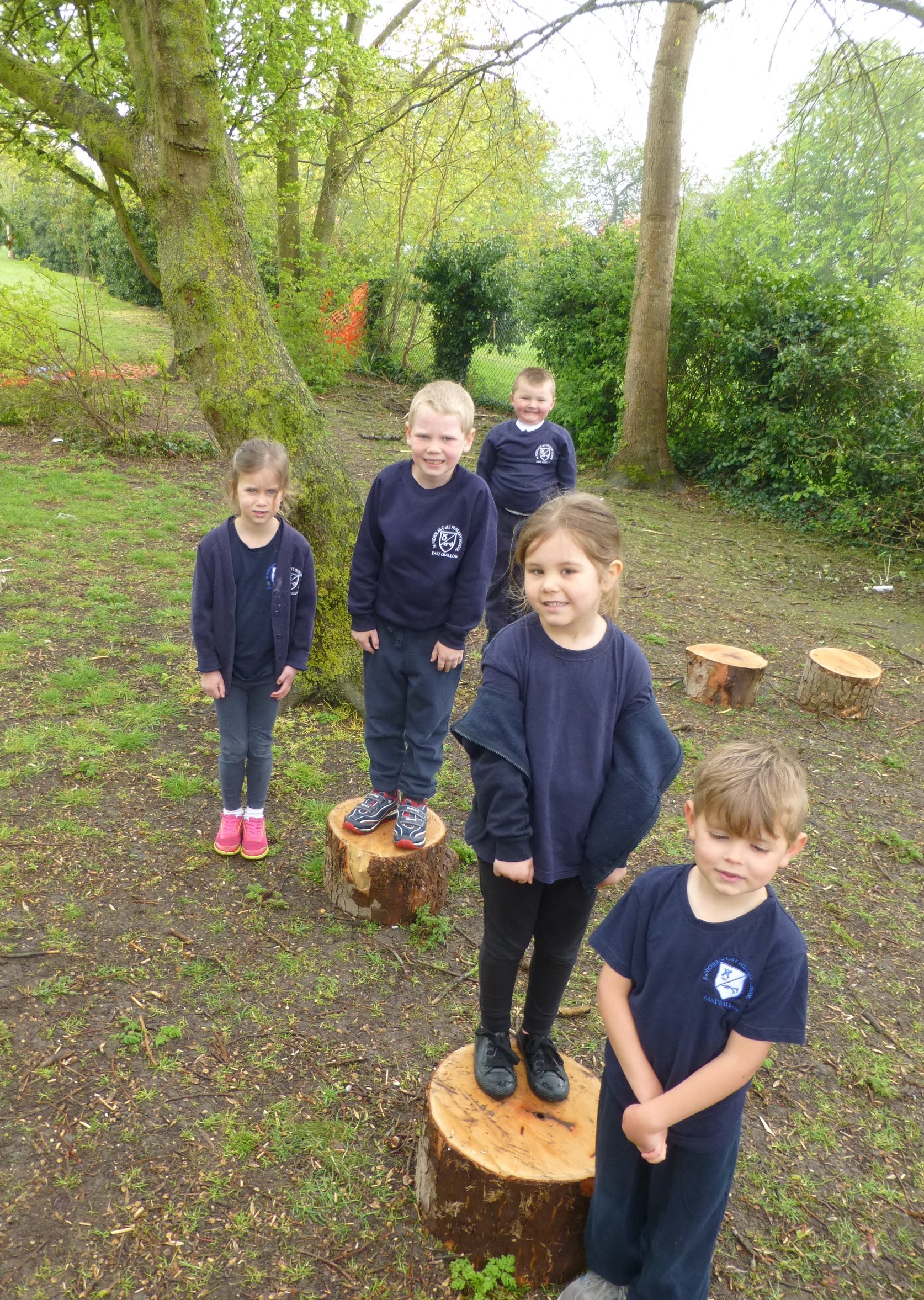 Pupils in the new forest school area