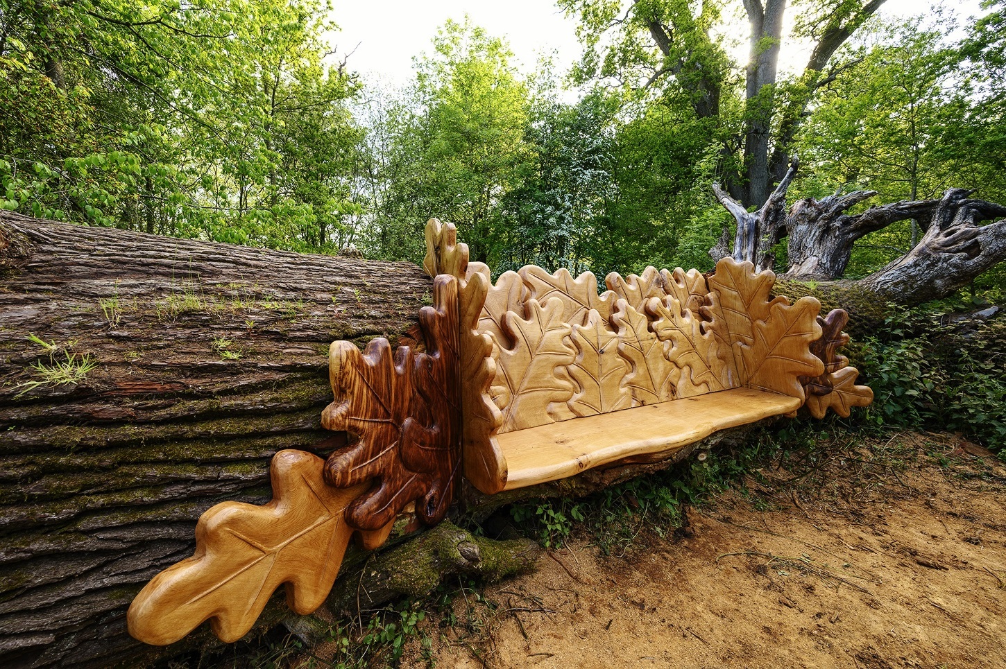 The finished oak tree bench in High Park on the Blenheim estate. Picture: Pete Seaward