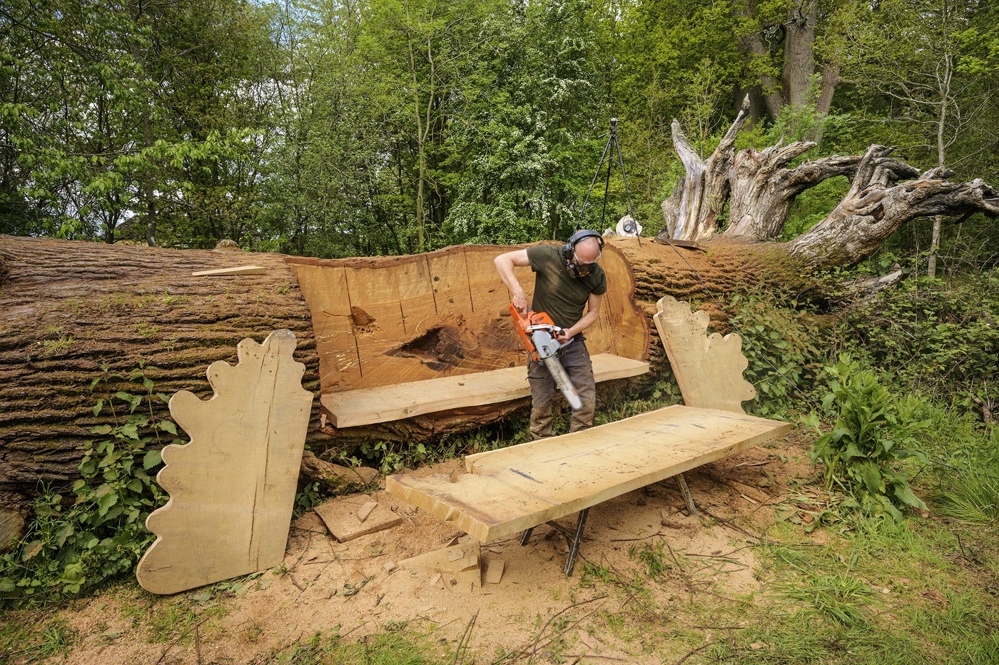 Champion chainsaw artist Matthew Crabb at work on the fallen oak tree in High Park on the Blenheim estate. Picture: Pete Seaward
