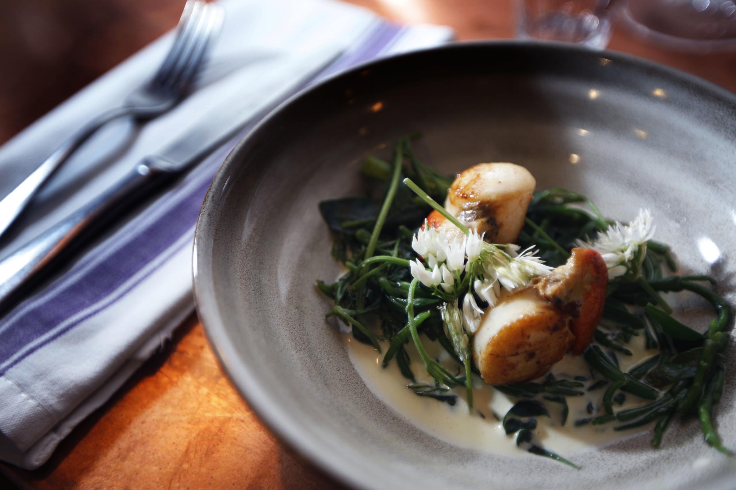 Seared scallops with sea vegetables and garlic flower. Picture by Ed Nix