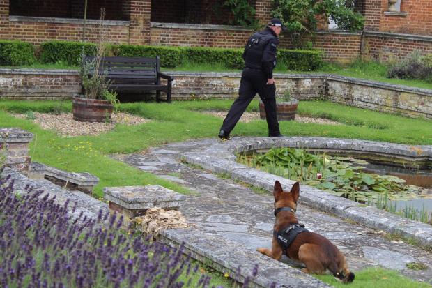 Oxford Mail: A Thames Valley police dog finds scattered items at Sulhampstead training college