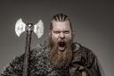 The Viking could have looked like this