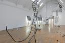 Oxford-born Jesse Darling, who bent a full-sized rollercoaster into the skeletal form of a woolly mammoth, is  shortlisted for the Turner Prize