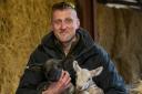 Blenheim Palace estate welcomes new lambs to flock