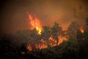 Spain updates its travel advice following forest fires in Rhodes, Greece