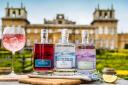 New gins have been launched at Blenheim Palace