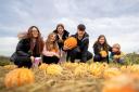The family Pumpkin Patch event returns this half-term