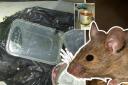 Council health inspectors found evidence of rat activity in Masooms, Wantage, in 2022 Pictures:
