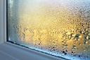 As the weather begins to get cooler, have you begun seeing condensation on your windows?